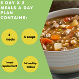 5-Day Diabetic Meal Plan – 2 Meals a Day (10 Ready-Made Lunches & Dinners)