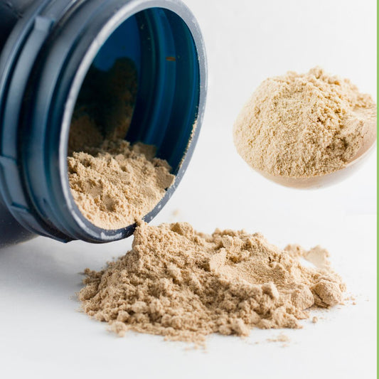 what are protein powders