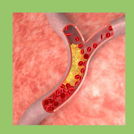 About Cholesterol - The Diabetes Kitchen