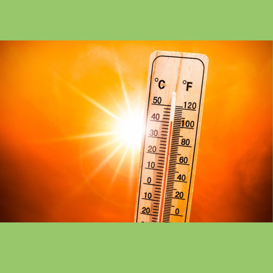 Beating the Heat: Managing Diabetes in Hot Weather - The Diabetes Kitchen