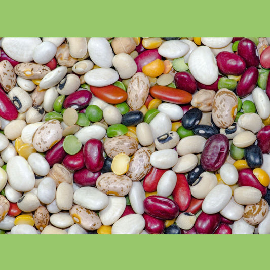 Legumes and Their Benefits on Lowering Blood Sugars - The Diabetes Kitchen