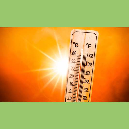 Managing Diabetes in Extreme Heat - The Diabetes Kitchen