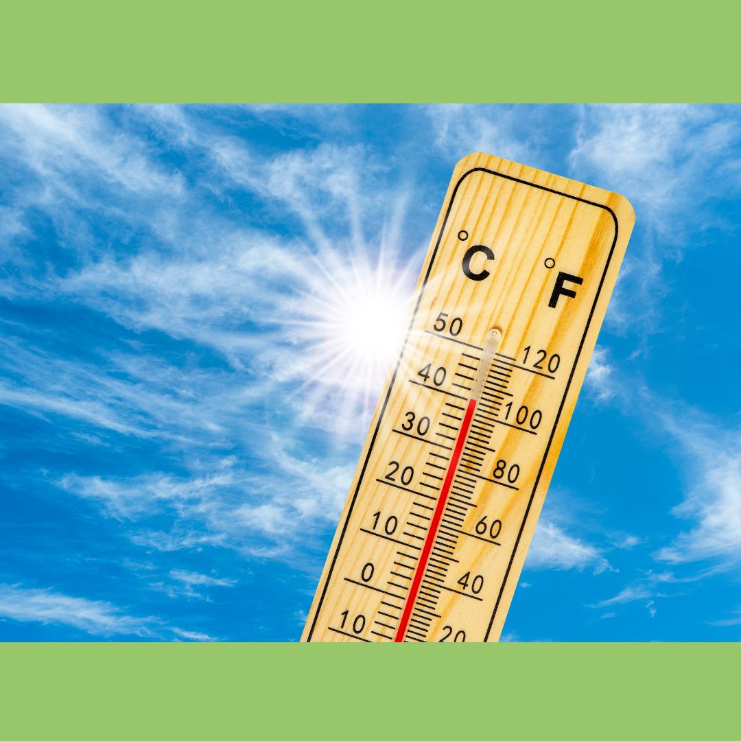Stay safe in the Extreme Heat - The Diabetes Kitchen