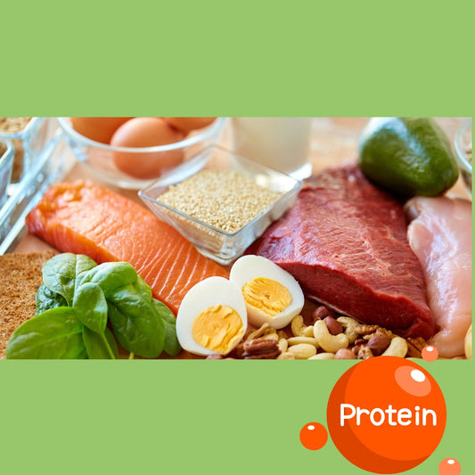 The Benefits of Protein in the Body - The Diabetes Kitchen