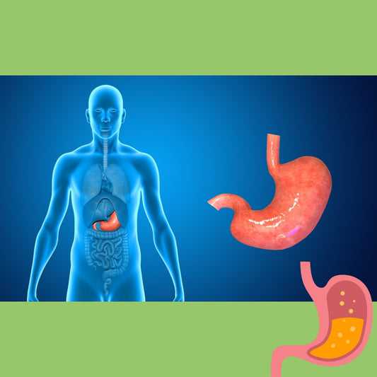 The Link Between Diabetes and Celiac Disease - The Diabetes Kitchen