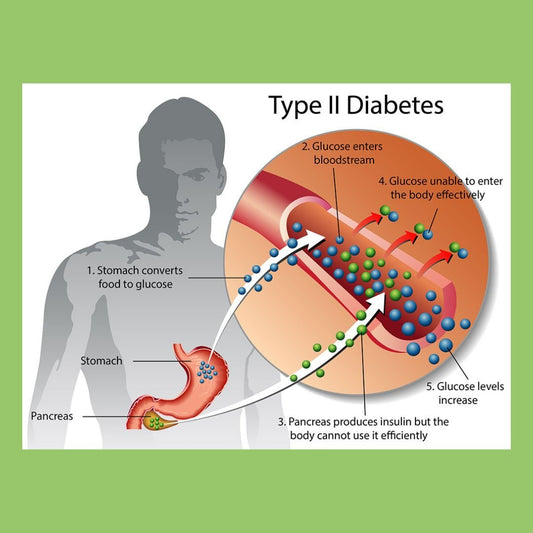 Type 2 Diabetes Diagnosis - The Diabetes Kitchen