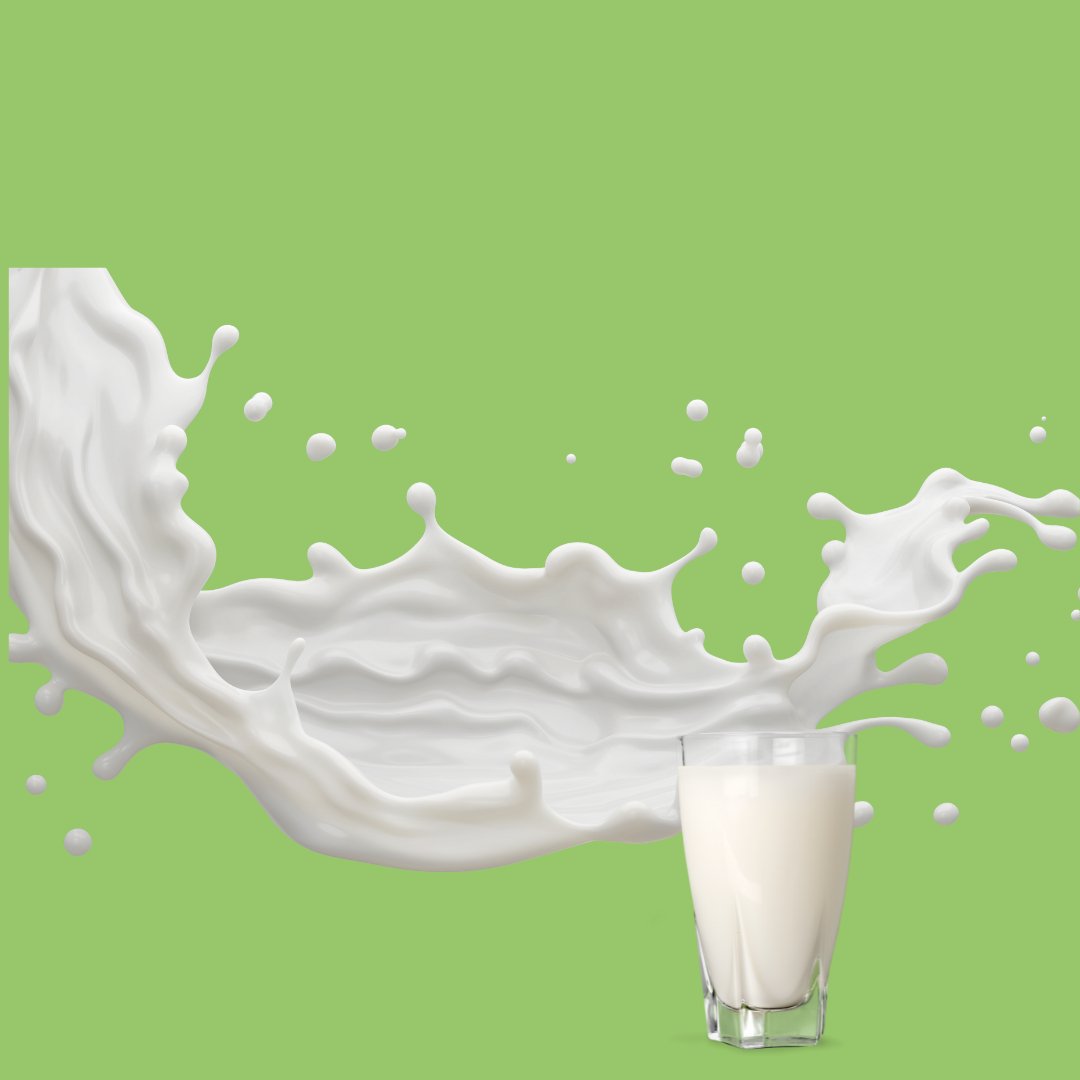 Understanding Different Types of Milks and Diabetes - The Diabetes Kitchen