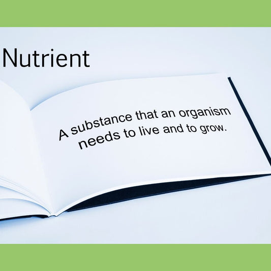 Understanding Essential Nutrients - The Diabetes Kitchen