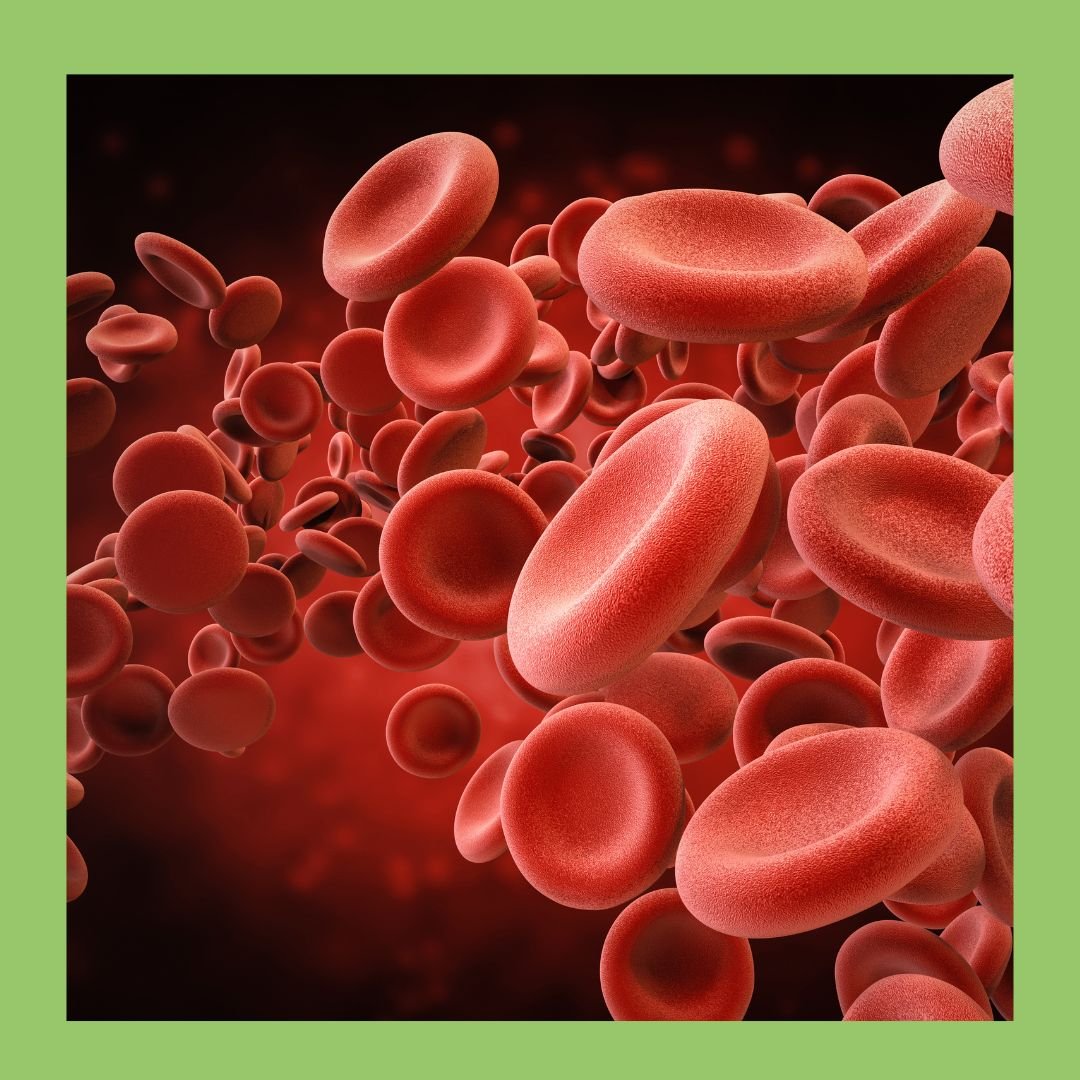 What Does HBA1C Measure? - The Diabetes Kitchen