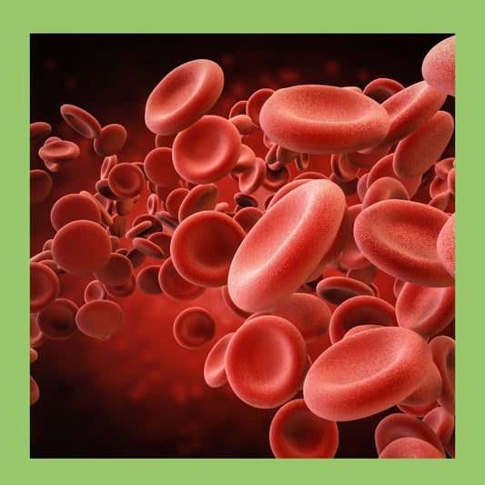 What Does HBA1C Measure? - The Diabetes Kitchen